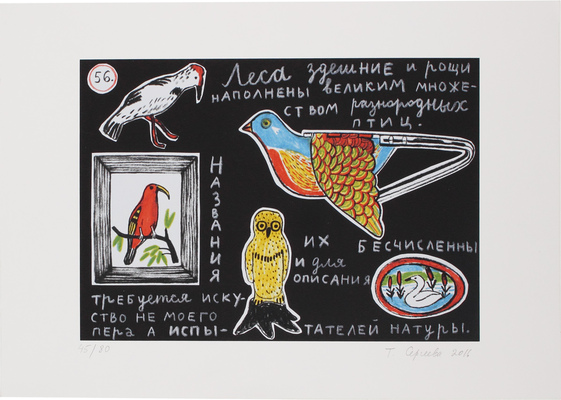 Сергеева Татьяна Сергеевна. Леса здешние и рощи наполнены великим множеством разнородных птиц